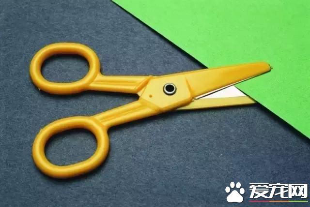 生活小窍门（实用型）