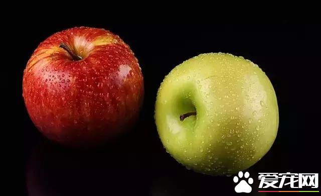 生活小窍门（实用型）