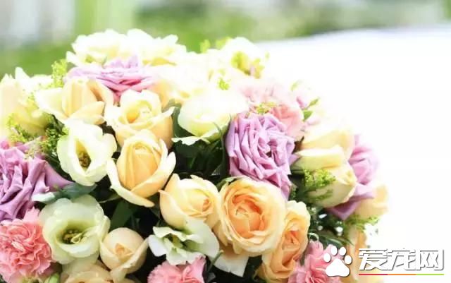 生活小窍门（实用型）