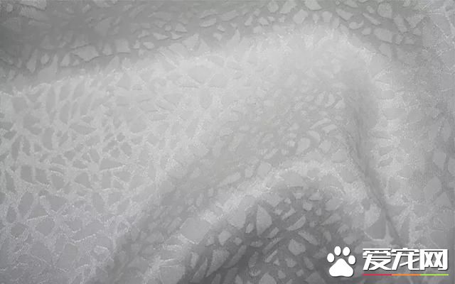 真丝和桑蚕丝到底有什么区别？