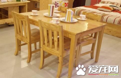快来围观松木家具的选购方法