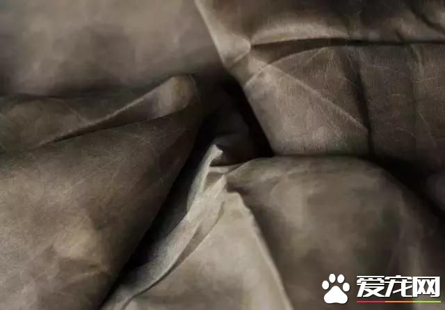 真丝和桑蚕丝到底有什么区别？