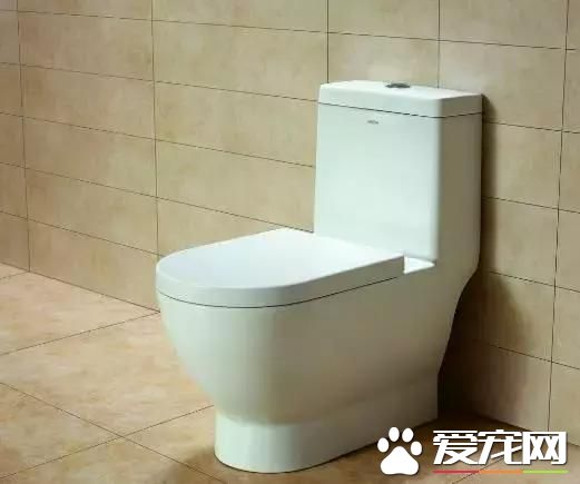 生活小窍门（实用型）