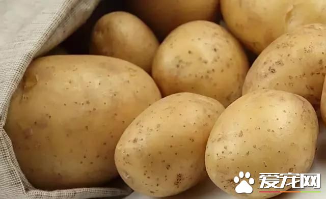 生活小窍门（实用型）