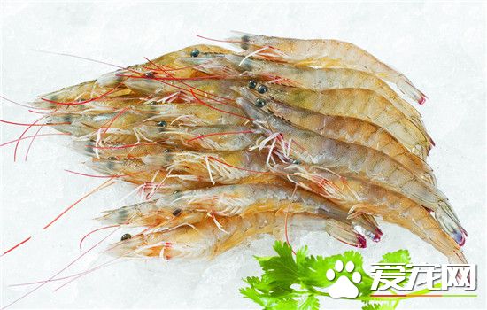 虾线怎么快速去除？虾线要怎么处理