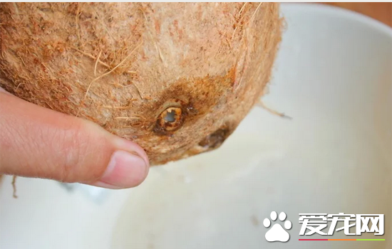 椰子怎么打开？快速打开椰子的方法讲解