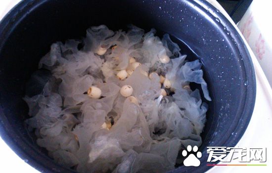 怎么快速把莲子煮烂？莲子为什么煮不烂