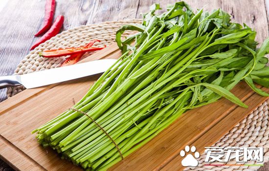 选购空心菜的技巧？什么样的空心菜最新鲜