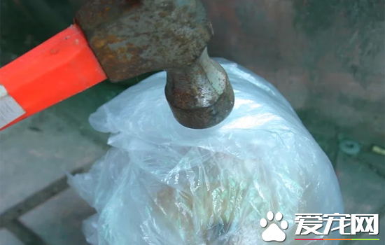 椰子怎么打开？快速打开椰子的方法讲解