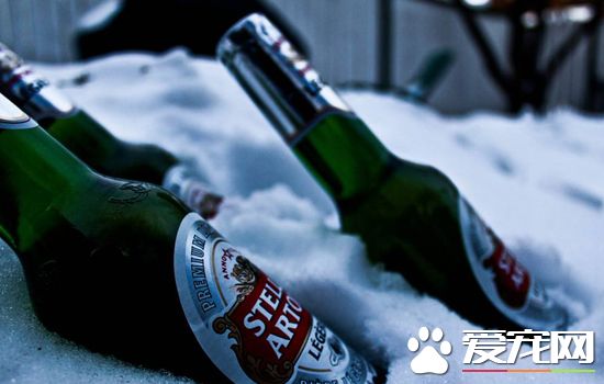 啤酒过期了还能喝吗？过期的啤酒怎么处理