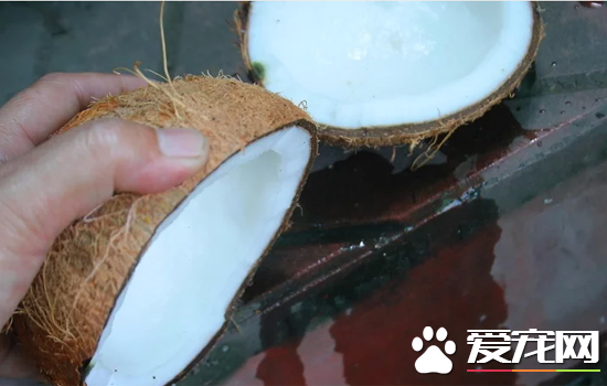 椰子怎么打开？快速打开椰子的方法讲解