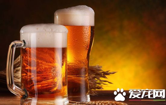 啤酒过期了还能喝吗？过期的啤酒怎么处理