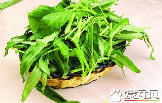 选购空心菜的技巧？什么样的空心菜最新鲜