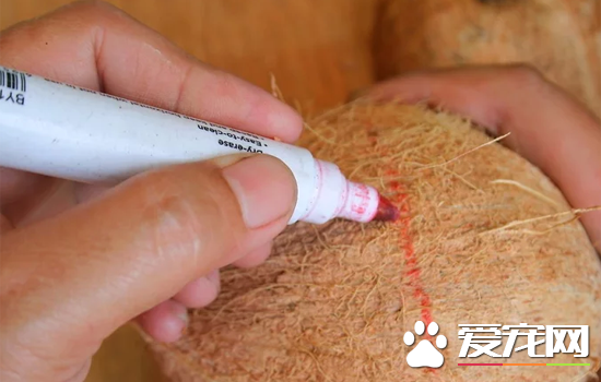 椰子怎么打开？快速打开椰子的方法讲解