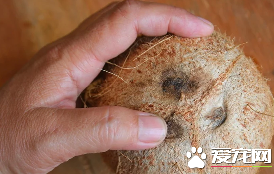 椰子怎么打开？快速打开椰子的方法讲解