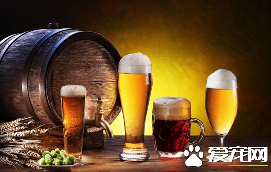 啤酒过期了还能喝吗？过期的啤酒怎么处理