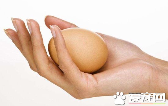 怎么分辨鸡蛋是否变质？辨别鸡蛋好坏的方法