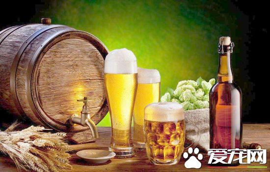 啤酒过期了还能喝吗？过期的啤酒怎么处理