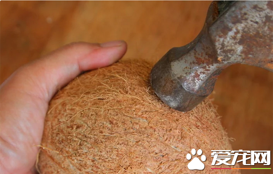 椰子怎么打开？快速打开椰子的方法讲解