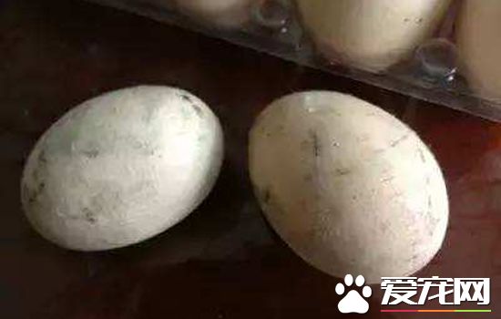 怎么分辨鸡蛋是否变质？辨别鸡蛋好坏的方法