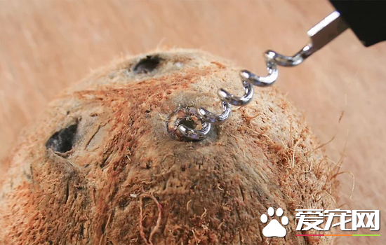 椰子怎么打开？快速打开椰子的方法讲解