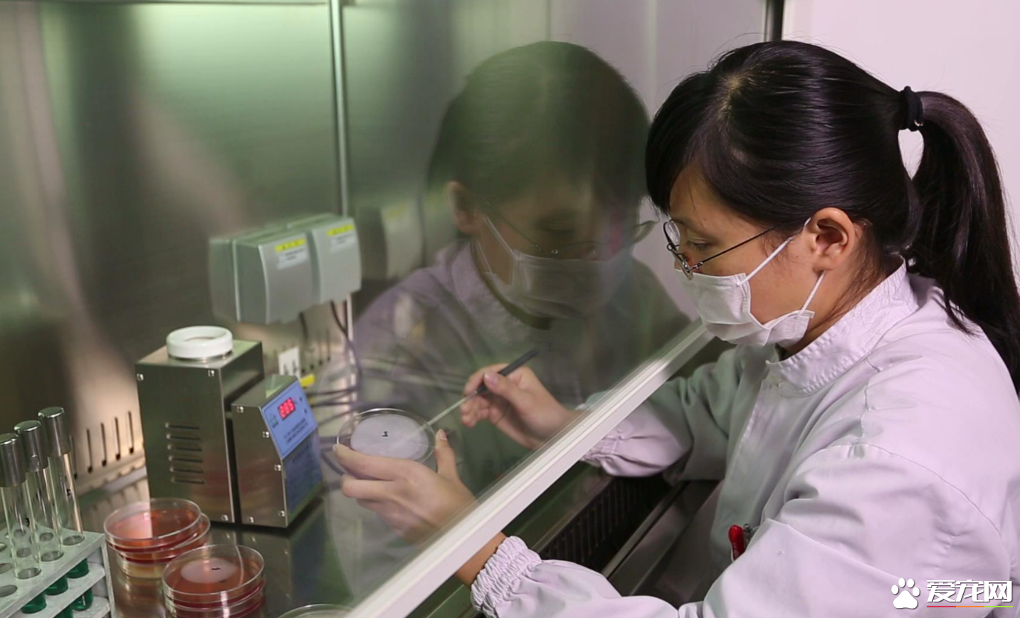 颜值高得不像实力派！ “Wanpy”品牌新装令人耳目一新