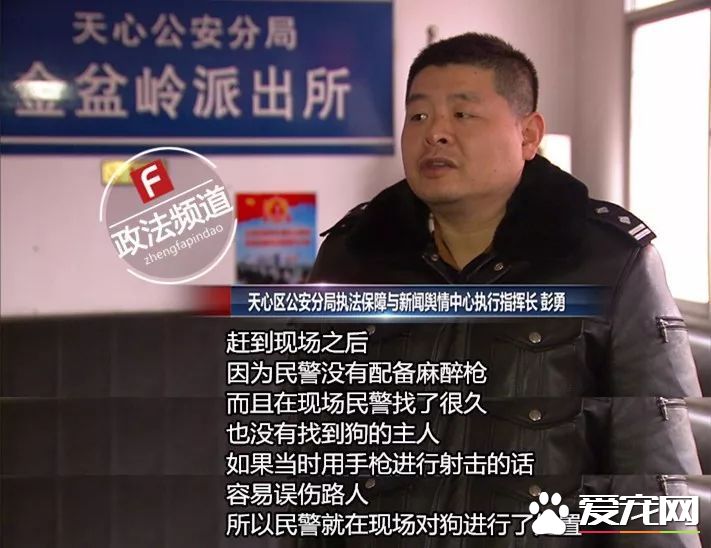 长沙芙蓉路咬人金毛被民警用木棒打死虐狗事件，官方辟谣事件全过程