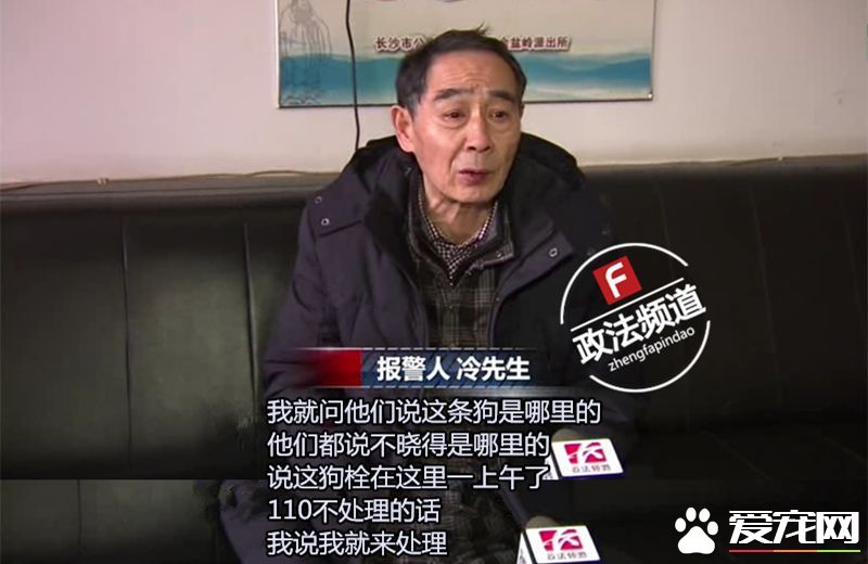 长沙芙蓉路咬人金毛被民警用木棒打死虐狗事件，官方辟谣事件全过程