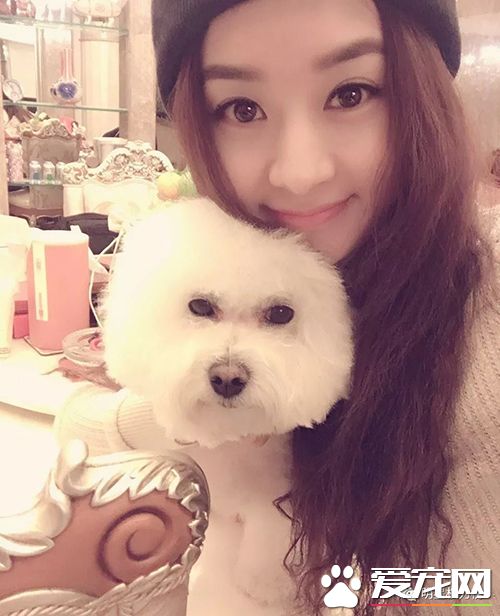 女神刘亦菲杨幂吸猫,明星与萌宠的互动画面谁的最温馨有爱?
