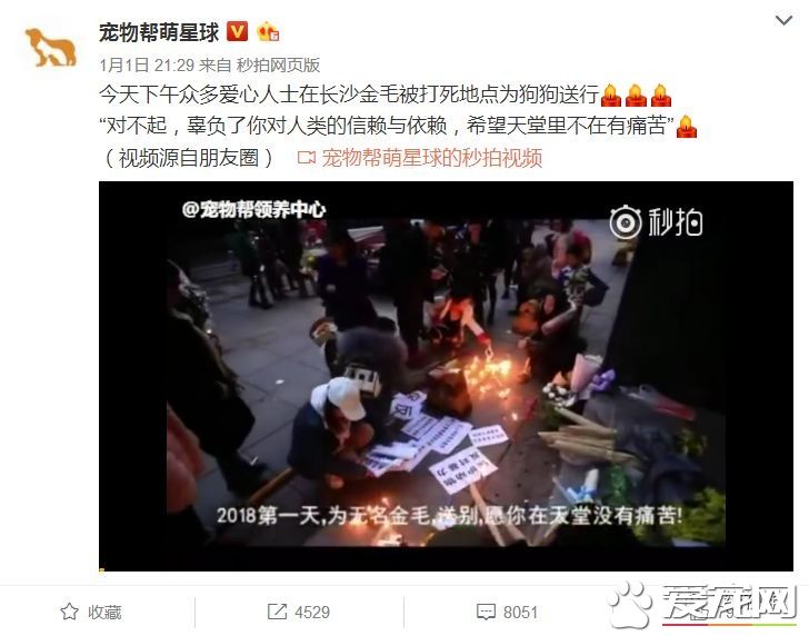 长沙辅警当街虐狗事件持续发酵，当事人反被人肉送菊花
