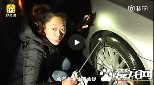 2018最暖女司机！流浪猫屡次钻车轮，她冒雪耐心救出