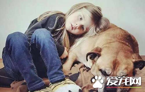 6岁女孩Lynn陪伴爱犬的最后20天，“谢谢你出现在我的生命里”