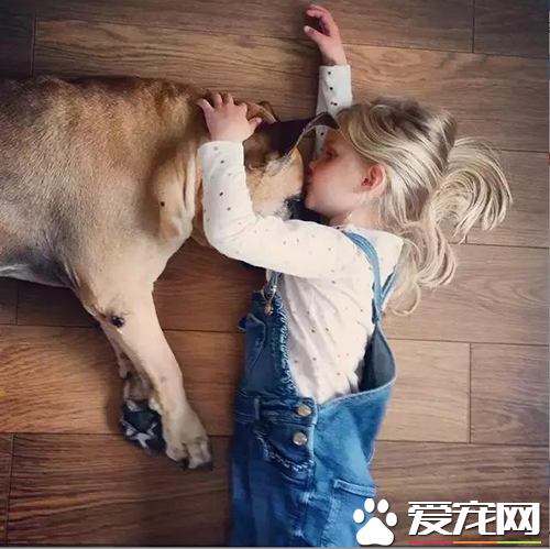 6岁女孩Lynn陪伴爱犬的最后20天，“谢谢你出现在我的生命里”