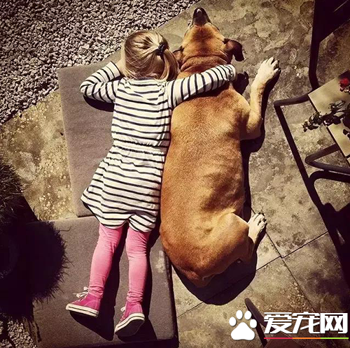 6岁女孩Lynn陪伴爱犬的最后20天，“谢谢你出现在我的生命里”