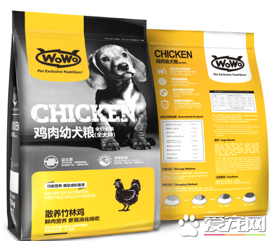 注意了：给幼犬吃狗粮需先泡软，WOWO鸡肉幼犬粮营养好吸收