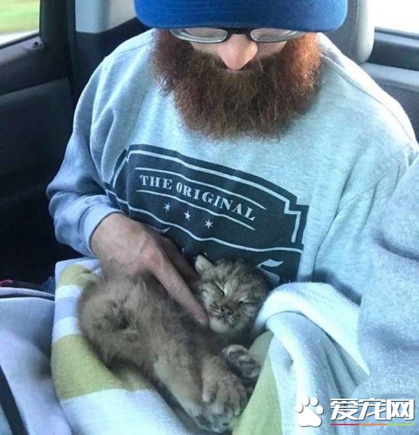 马修偶遇小猫竟是被丢弃的猞猁 举手之劳救猞猁命