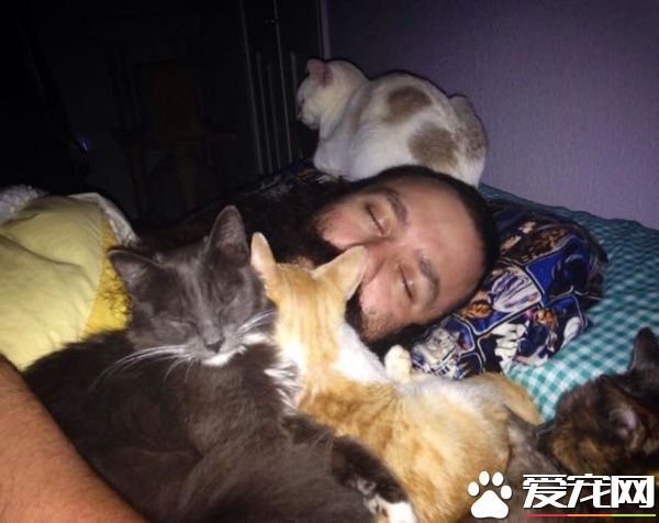 大胡子暖男救援落难猫 用胡子记录它们成长