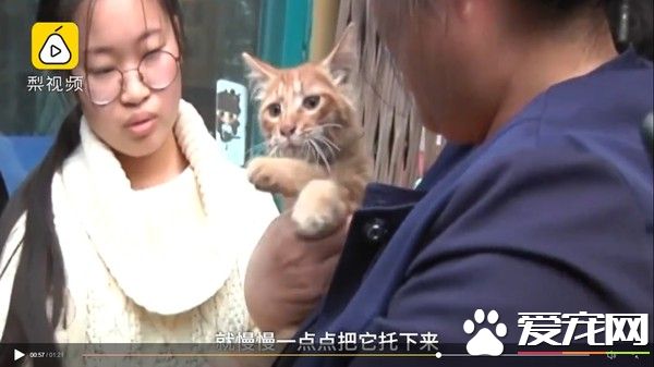 幸好救援计画大成功！猫咪被困管道深处幸得路人相救