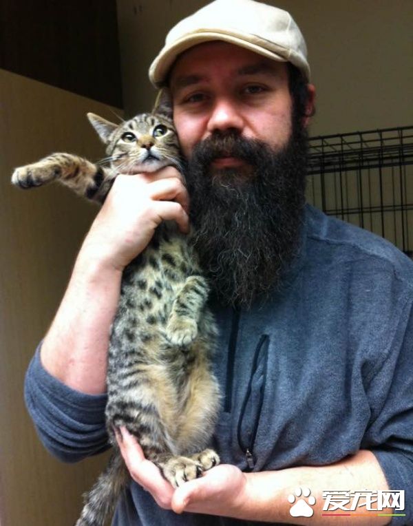 大胡子暖男救援落难猫 用胡子记录它们成长