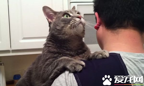 看得人都要融化啦！超会撒娇的喵星人