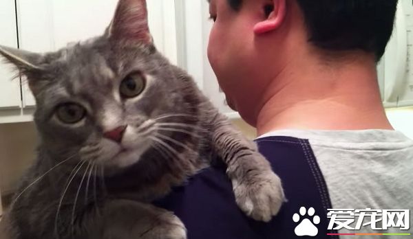 看得人都要融化啦！超会撒娇的喵星人