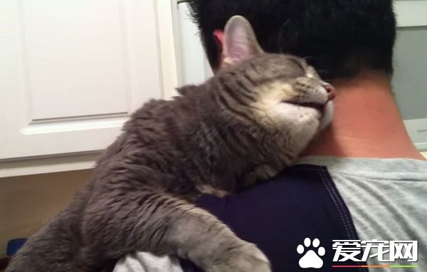 看得人都要融化啦！超会撒娇的喵星人