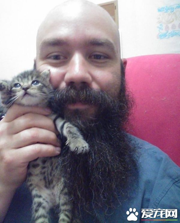 大胡子暖男救援落难猫 用胡子记录它们成长
