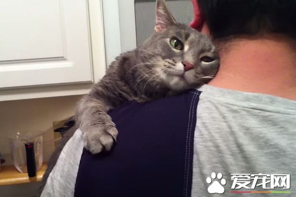 看得人都要融化啦！超会撒娇的喵星人