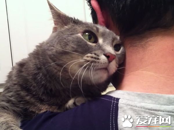 看得人都要融化啦！超会撒娇的喵星人