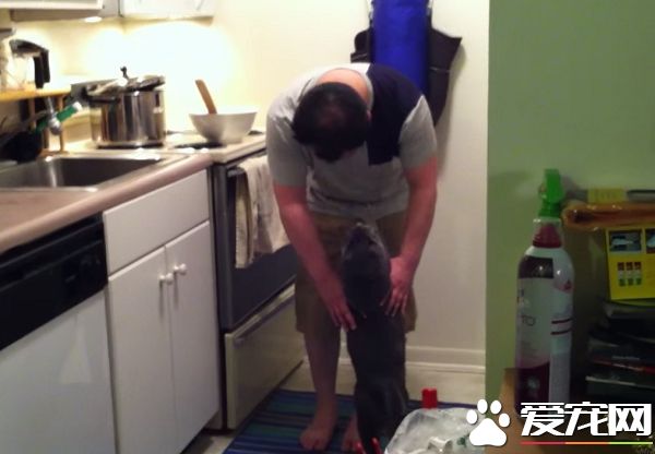 看得人都要融化啦！超会撒娇的喵星人