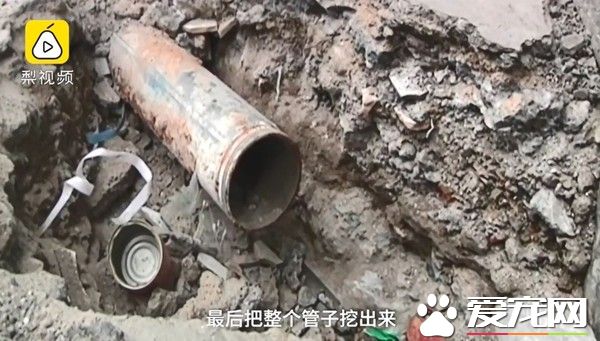 幸好救援计画大成功！猫咪被困管道深处幸得路人相救