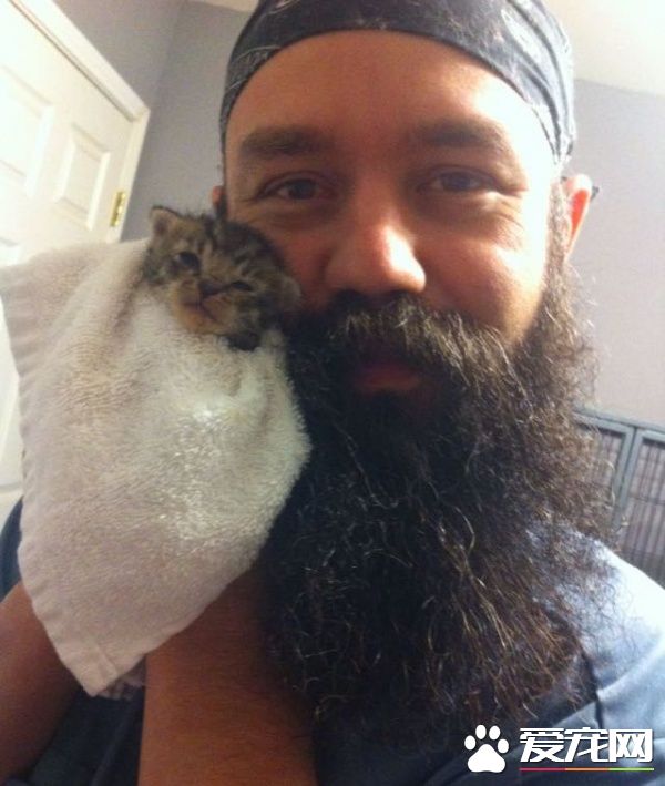 大胡子暖男救援落难猫 用胡子记录它们成长