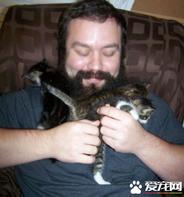 大胡子暖男救援落难猫 用胡子记录它们成长