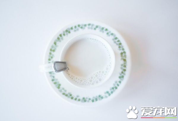 泰迪可不可以喝牛奶